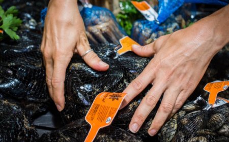 Nieddittas: salute e benessere dal mare per la Giornata mondiale dell'Alimentazione