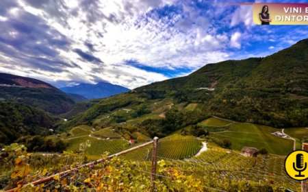 Enoturismo e impatto sulle destinazioni: in Italia nasce carTES, la Carta per il turista enogastronomico sostenibile