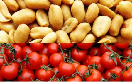 Novità dai principali mercati. Le pillole di Areté su Arachidi e Pomodori