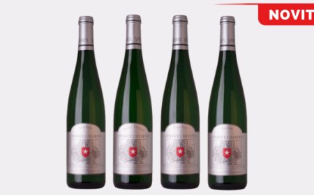 Scoprire i vini olandesi: la Cantina Apostelhoeve arriva in Italia grazie a Vino&Design