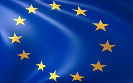 EUDR: il Consiglio UE approva il rinvio per l'applicazione delle normative