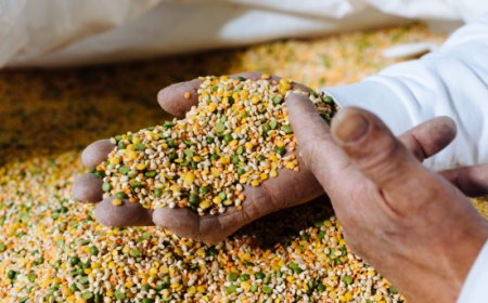 Select racconta il culto della pasta con i legumi a Napoli nel World Pasta Day