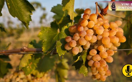 L’Alto Adige avrà le sue Unità Geografiche Aggiuntive