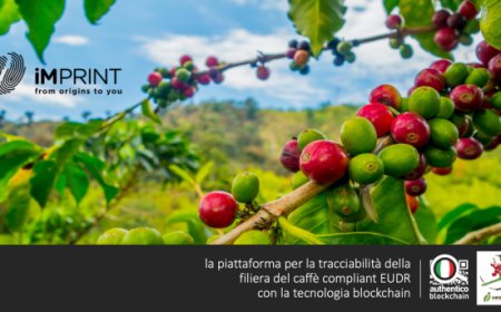 Imperator sceglie Authentico per iMprint: la blockchain per un caffè trasparente