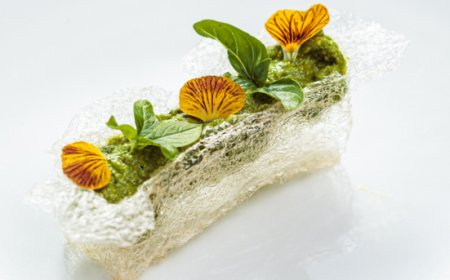 World Vegan Day 2024: la cucina vegetale dello chef Antonio Chiodi Latini a Torino