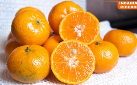 Ricerca di CSO Italy: oltre il 90% dei danesi disposti ad acquistare prodotti italiani