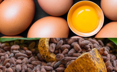 Novità dai principali mercati. Le pillole di Areté su Uova e Cacao