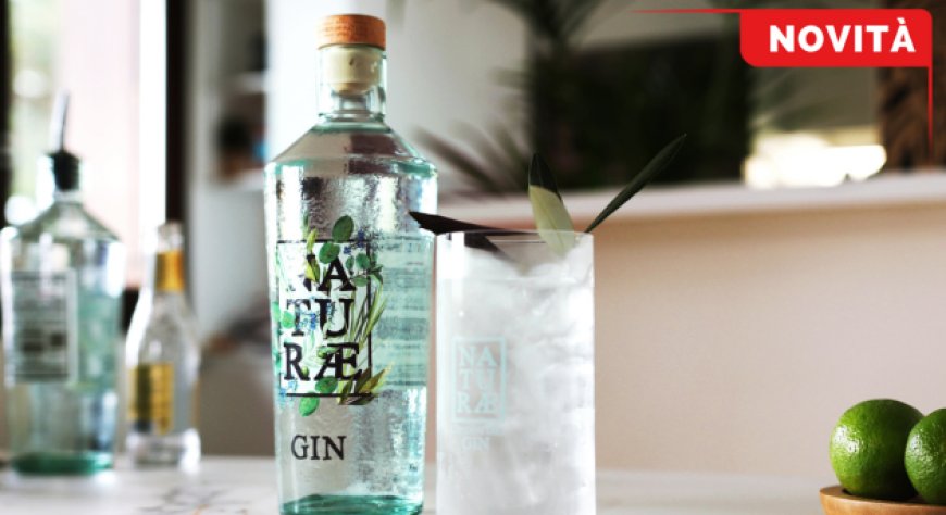 Herbarium, il nuovo distillato di Naturae Gin tra creatività e sostenibilità