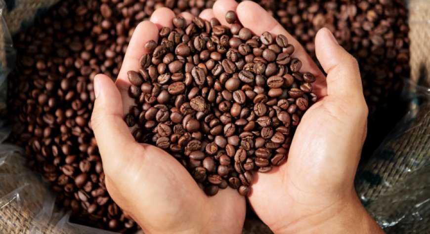 Tracciabilità del caffè: un progetto per garantire qualità e origine