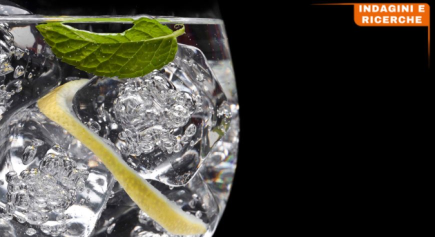 Gli italiani riscoprono il gin. Lo studio di CGA by NIQ