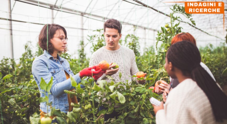 La digitalizzazione trasforma l'agricoltura: crescita del 19% nel 2023