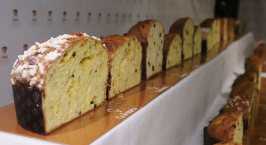 Mastro Panettone 2024: svelati i finalisti dell'ottava edizione