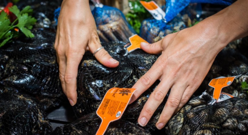 Nieddittas: salute e benessere dal mare per la Giornata mondiale dell'Alimentazione