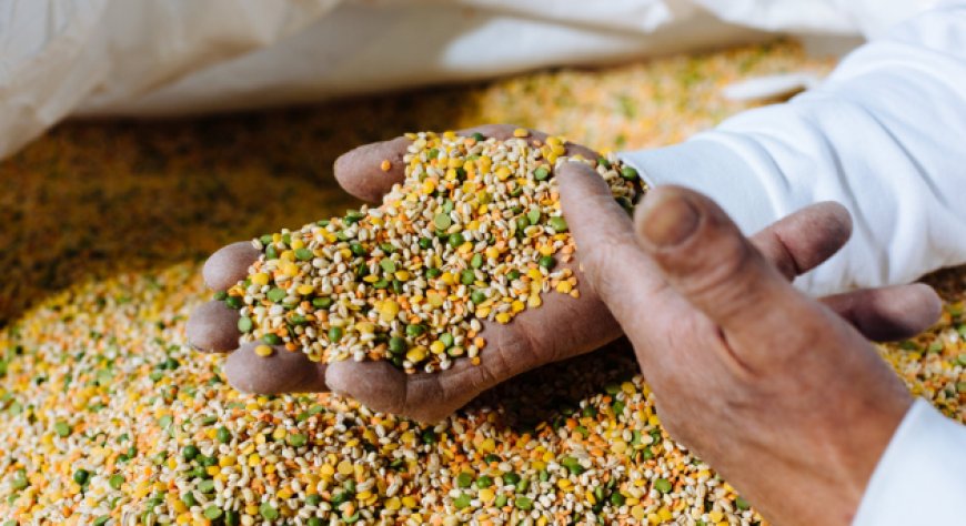 Select racconta il culto della pasta con i legumi a Napoli nel World Pasta Day