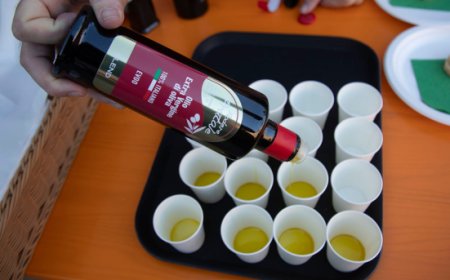 Baccanale 2024: i ristoranti di Imola celebrano l'olio d'oliva con menù esclusivi