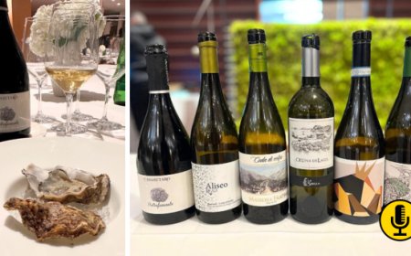 Ostriche e vini prefillossera: un pairing sorprendente raccontato allo Yacht Club Marina di Stabia