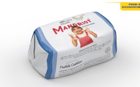 Lo Stracchino a marchio Mandriot miglior formaggio a pasta morbida