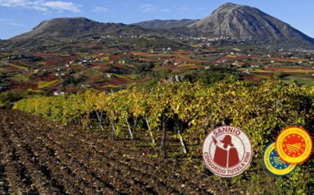 Merano Wine Festival: il Sannio Consorzio Tutela Vini alla 33esima edizione