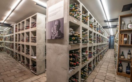 Guida Oro I Vini di Veronelli 2025: svelati i Grandi Esordi