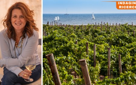 Assovini Sicilia: sostenibilità, enoturismo e  innovazione per il futuro del vino siciliano