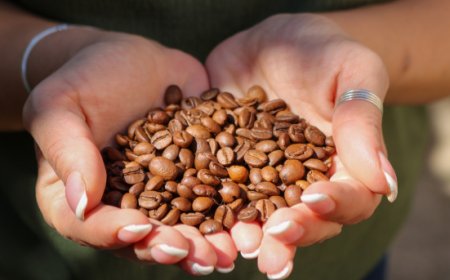 La filiera del caffè e il ruolo delle donne: la masterclass a Milano con le professioniste del settore