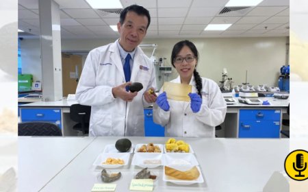 Una nuova pellicola alimentare a base di semi di avocado rileva il deterioramento del cibo cambiando colore 