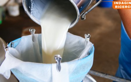 Vantaggi economici e crescita del settore lattiero-caseario: il ruolo cruciale delle cooperative