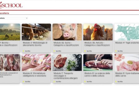 MEatSCHOOL lancia la sua piattaforma di e-Learning per la formazione sulla carne bovina