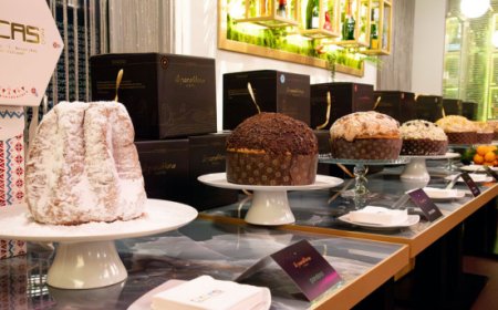 I panettoni di Cycas Cafè: un viaggio sensoriale nei sapori di Bacoli