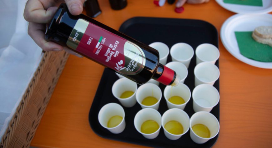 Baccanale 2024: i ristoranti di Imola celebrano l'olio d'oliva con menù esclusivi