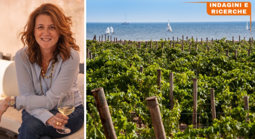 Assovini Sicilia: sostenibilità, enoturismo e  innovazione per il futuro del vino siciliano