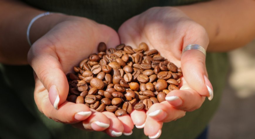 La filiera del caffè e il ruolo delle donne: la masterclass a Milano con le professioniste del settore