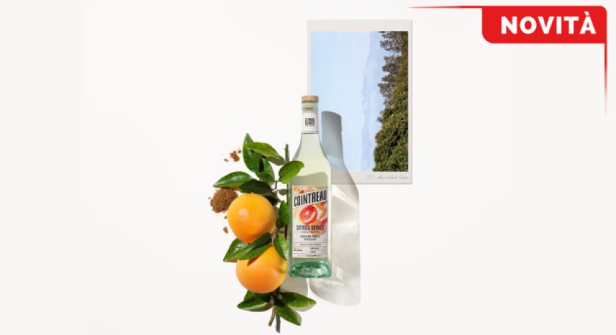 Cointreau presenta la prima Citrus Series Single Estate