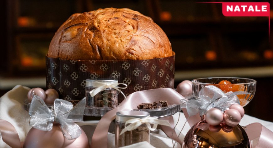 PanCricrì, il panettone con farina di grillo che rivoluziona il Natale