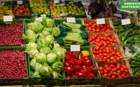 Sistemi agroalimentari globali: il rapporto SOFA 2024 della FAO svela costi nascosti e soluzioni per il futuro