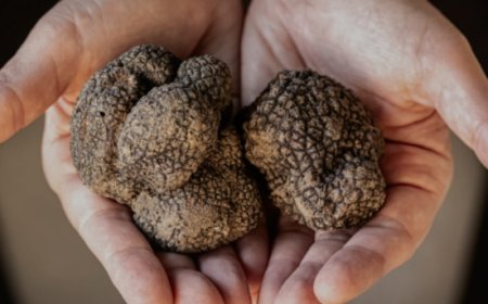 Grande successo per la Fiera Internazionale dei Tartufi d’Abruzzo