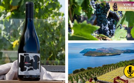 La magia di Tenuta di Castellaro e del suo Nero Ossidiana