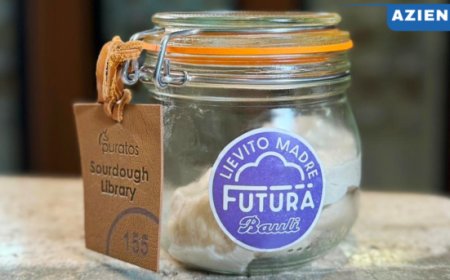 Il Lievito Madre Bauli entra nella Biblioteca dei Lieviti
