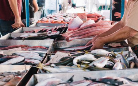 Mercato Ittico del CAR apre al pubblico: pesce fresco di qualità per Natale