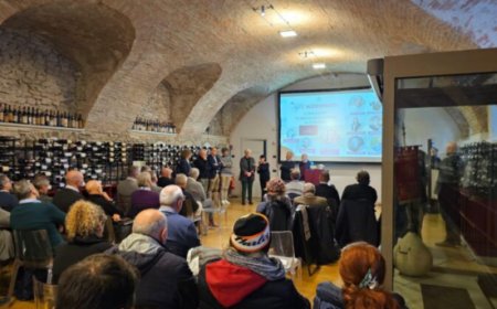 Grande attesa per l'annata 2021 del Barolo, una delle migliori di sempre
