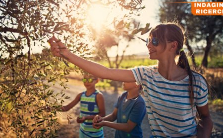 L'oleoturismo conquista sempre più i viaggiatori italiani