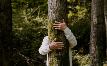 Prepararsi all'EUDR: online la piattaforma replica per gli operatori globali