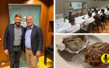 AIOST: bilanci e prospettive future. Intervista con Alessio Cutino