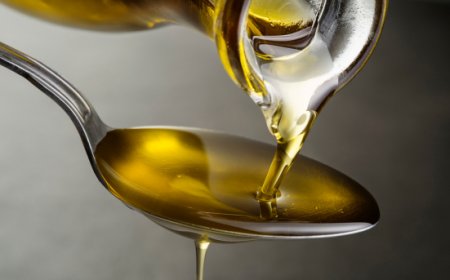 L'Olio Novello di Castel di Guido ottiene la certificazione IGP Roma