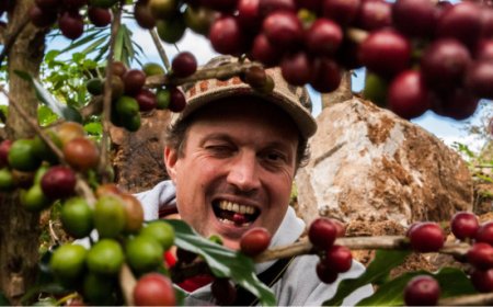 Il punto di vista di Alberto Polojac sulla puntata di Report