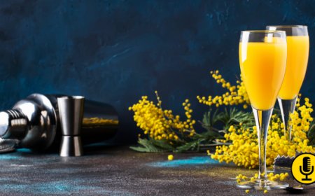 ​Alla scoperta del Mimosa: storia, curiosità, ricetta