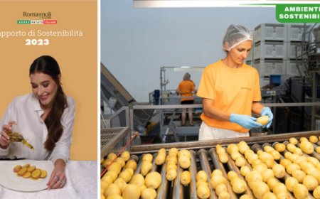 Romagnoli F.lli Spa pubblica il quarto Rapporto di Sostenibilità