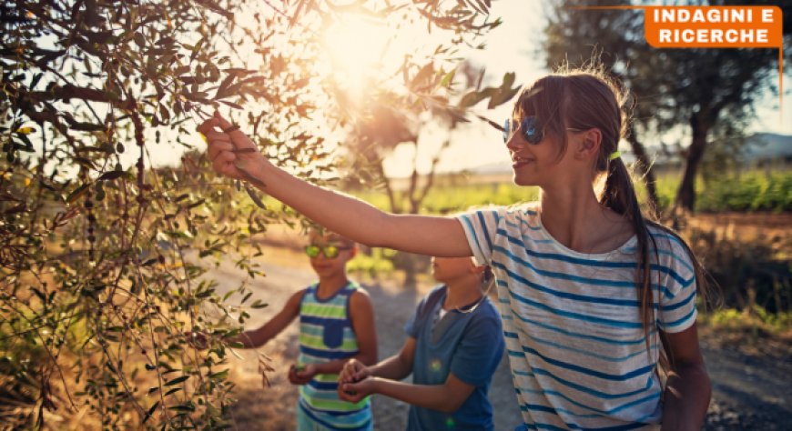 L'oleoturismo conquista sempre più i viaggiatori italiani