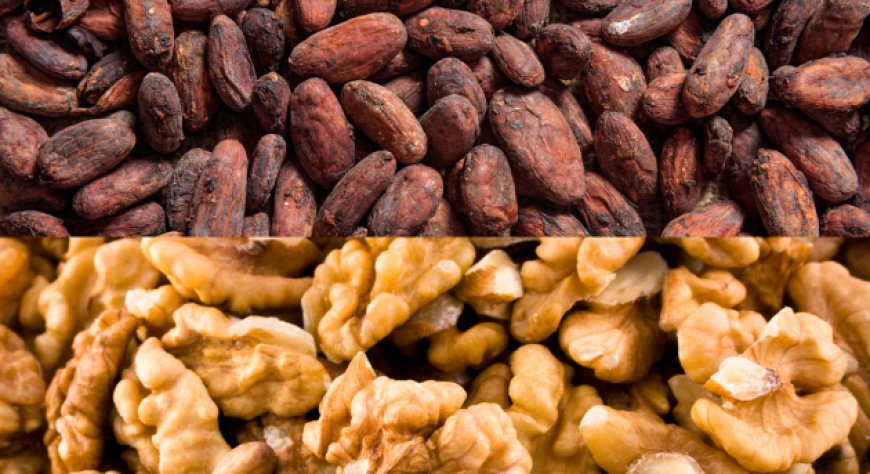 Novità dai principali mercati. Le pillole di Areté su Cacao e Noci