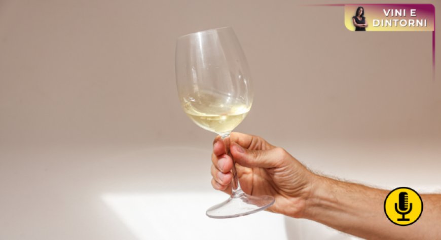 Effetto kokumi? Secondo una ricerca esisterebbe anche nei vini bianchi